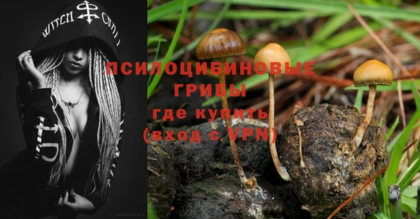 спайс Приозерск